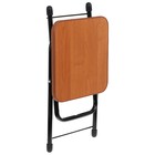 Стул складной Nika, 30.5×30.5×40 см, сиденье ЛДСП - Фото 6