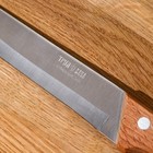 Нож кухонный «Ретро», для мяса, лезвие 16 см, с деревянной ручкой, цвет бежевый - Фото 2