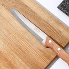Нож кухонный «Ретро», для мяса, лезвие 16 см, с деревянной ручкой, цвет бежевый - Фото 3