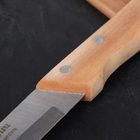 Нож кухонный «Ретро», универсальный, лезвие 16 см, с деревянной ручкой - Фото 3