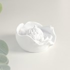 Фигурка «Ангелочек спящий в цветке», 3.5×5.5×5.5 см, МИКС - Фото 5