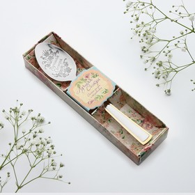 Ложка с гравировкой чайная в подарочной коробке «Лучшая сестра»