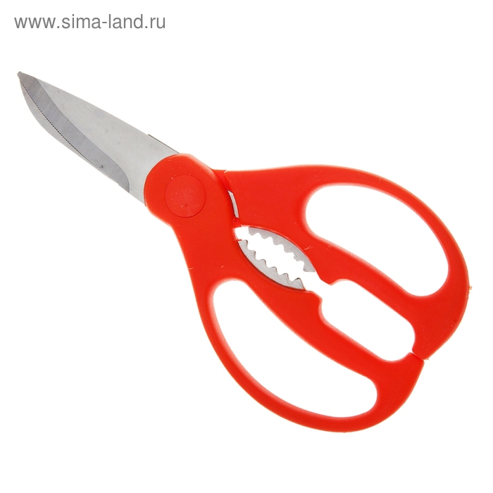 Ножницы кухонные «Альфа» - Фото 1