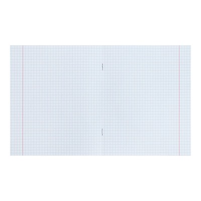 Тетрадь 12 листов в клетку «Зелёная обложка»