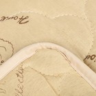 Одеяло облегчённое Адамас "Верблюжья шерсть", размер 200х220 ± 5 см, 200гр/м2, чехол п/э - Фото 3