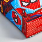 Аквамозаика «Человек-паук», 2 фигурки, 150 шариков, уценка - Фото 2