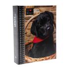 Фотоальбом "Животные" на 200 фото, 50 листов, 10х15 см - фото 23673742