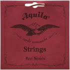 Струны для мандолины AQUILA RED SERIES 1M (e,a,D, G) - фото 299641310