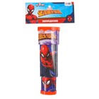 Калейдоскоп «Супер-герой», Человек-паук - Фото 5