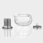 Чайник стеклянный заварочный с металлическим ситом «Калиопа», 800 мл - Фото 2