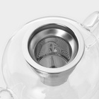 Чайник стеклянный заварочный с металлическим ситом «Калиопа», 800 мл - Фото 3