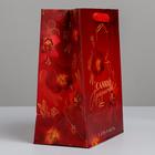 Пакет подарочный ламинированный вертикальный, упаковка, «Самой прекрасной», MS 18 х 23 х 10 см - Фото 2