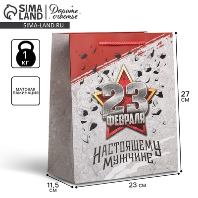 Пакет подарочный ламинированный, упаковка, «С 23 февраля», ML 23 х 27 х 11.5 см