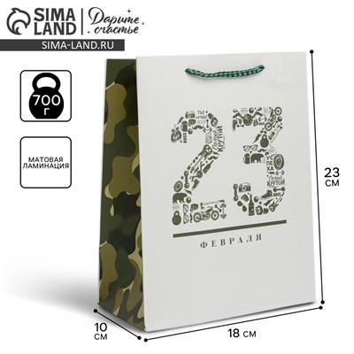 Пакет подарочный ламинированный, упаковка, «23 февраля», MS 18×23×10 см