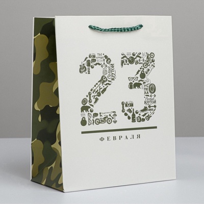 Пакет подарочный ламинированный, упаковка, «23 февраля», MS 18×23×10 см
