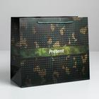 Пакет подарочный ламинированный горизонтальный, упаковка, «Present», ML 27 х 23 х 11,5 см - Фото 1