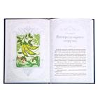 Книга в твёрдом переплёте «Волшебные сказки зарубежных писателей» 112 стр. - фото 3719422