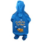 Комбинезон-дождевик M "Собака гуляка" (ДС 35 см, ОГ 50 см) - Фото 1