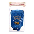 Комбинезон-дождевик M "Собака гуляка" (ДС 35 см, ОГ 50 см) - Фото 3