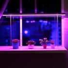 Фитосветильник светодиодный, 14 Вт, 900 мм, IP40, 220 В, полноспектральный, подставка 500мм - Фото 1