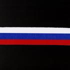 Лента репсовая «Триколор», 24 мм, 30±1 см - Фото 2