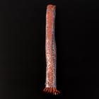 Лента «Георгиевская», 24 мм, 30 ± 1 см, цена за 1 штуку - Фото 3