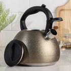 Чайник со свистком «Бархат», 3 л, цвет золотой - Фото 2