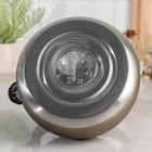 Чайник со свистком «Бархат», 3 л, цвет золотой - Фото 4