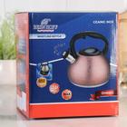 Чайник со свистком «Бархат», 3 л, цвет золотой - Фото 6