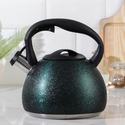 Чайник со свистком «Бархат», 3 л, цвет зелёный