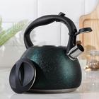 Чайник со свистком «Бархат», 3 л, цвет зелёный - Фото 2