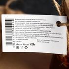 Кедровый орех в сосновом сиропе «Таёжный тайник», 420 г - Фото 3