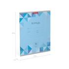 Тетрадь 18 листов в клетку ErichKrause Optima Rhombs, обложка мелованный картон, блок офсет, МИКС (1 вид в спайке) - фото 24146635