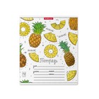 Тетрадь 18 листов в клетку ErichKrause «Яркие дольки», обложка мелованный картон, МИКС - Фото 2