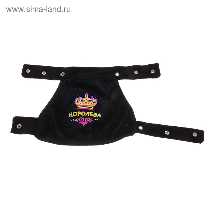 Мантия "Королева", бархат, размер S (ДС 19 см, ОШ 12-34 см, ОГ 27-54 см) - Фото 1