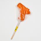Карамель на палочке «Пистолет», оранжевый, 45 г - Фото 4
