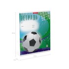 Тетрадь 24 листа в клетку ErichKrause "Мяч в игре", обложка мелованный картон, блок офсет, МИКС (1 вид в спайке) - Фото 11