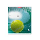 Тетрадь 24 листа в клетку ErichKrause "Мяч в игре", обложка мелованный картон, блок офсет, МИКС (1 вид в спайке) - Фото 7