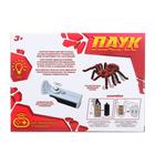 УЦЕНКА Паук радиоуправляемый «Тарантул», на батарейках, свет - Фото 5