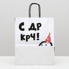 Пакет крафт с приколами «С ДР КРЧ», 22?12?27 см (комплект 10 шт) - фото 42109273