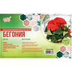 Набор для выращивания домашних цветов "Бегония" 5797807 - фото 16987668