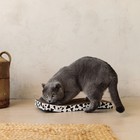 Когтеточка из картона с кошачьей мятой Moo-meow, волна, 22 х 45 см - фото 6383474