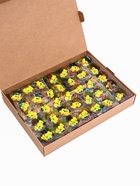 Сахарные фигурки «Цыплята в гнезде», 70 шт - фото 34685904