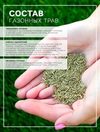 Газонная травосмесь «Быстрый газон», 1 кг - Фото 2