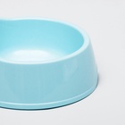 Миска двойная Мур-мяу 22.5 см × 13 см × 6 см, 0.2 л, голубой - Фото 4