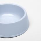 Миска двойная "Мур-мяу" 22,5 см х 13 см х 6 см, 0,2 л, серый - Фото 3