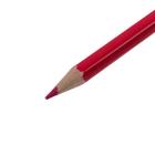 Карандаши 24 цвета Koh-I-Noor 3554, "Животные", европодвес - Фото 2