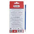 Карандаши 24 цвета Koh-I-Noor 3554, "Животные", европодвес - Фото 4