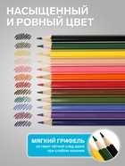 Карандаши 12 цветов Koh-I-Noor 3552, «Животные», европодвес - Фото 3