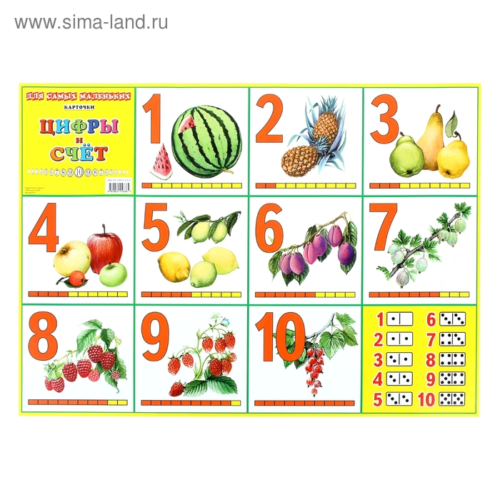 плакат Цифры и счет 50*70см - Фото 1